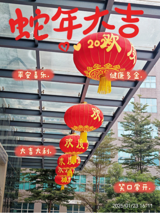 靈蛇舞動迎新春，喜氣洋洋滿乾坤